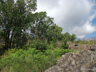anobello-26-05-2013 09-28-46